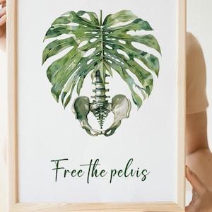 May include: A framed print featuring a watercolor illustration of a green monstera leaf, a spine, and a pelvis. The text "Free the pelvis" is written in a green script font below the illustration. The frame is made of light-colored wood.