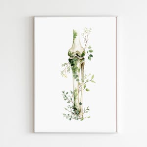 May include: Watercolor illustration of a human knee joint with botanical accents. The artwork features a detailed depiction of the bone structure, adorned with delicate green leaves and sprigs, set against a white background.