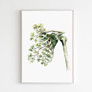 Op de afbeelding: Waterverfillustratie van een menselijke ribbenkast en schouderblad, met groene, bladerrijke takken die door de botten groeien. Het kunstwerk staat tegen een witte achtergrond en is ingelijst in een zilveren lijst.