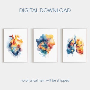 Puede incluir: Tres impresiones en acuarela de anatomía humana: un corazón, un cerebro y pulmones. Cada impresión presenta colores vibrantes y un estilo artístico suave. El texto "DIGITAL DOWNLOAD" está en la parte superior y "no physical item will be shipped" en la parte inferior.