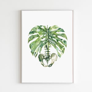 Póster de fisioterapia, arte del suelo pélvico, pelvis y caja torácica, pintura de acuarela, quiropráctico, regalo para fisioterapeuta, decoración de pared de oficina