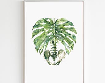Physical Therapy Poster Pelvic Floor Art Pelvis and Rib Cage Watercolor Painting Chiropractor Gift for Physical Therapist Office Wall Decor