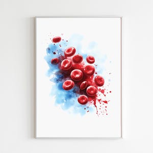 Bloedcelkunst afdrukbaar, hemoglobinemolecuul schilderij, medisch kantoor aquarel print, digitale biologie muur decor, menselijke anatomie artwork