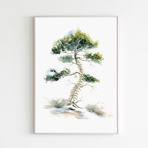 May include: Watercolor art print of a tree with a spine-like trunk and snow-covered branches. The artwork features a green and white color palette, with a touch of brown. The tree is set against a white background, framed in a silver border.