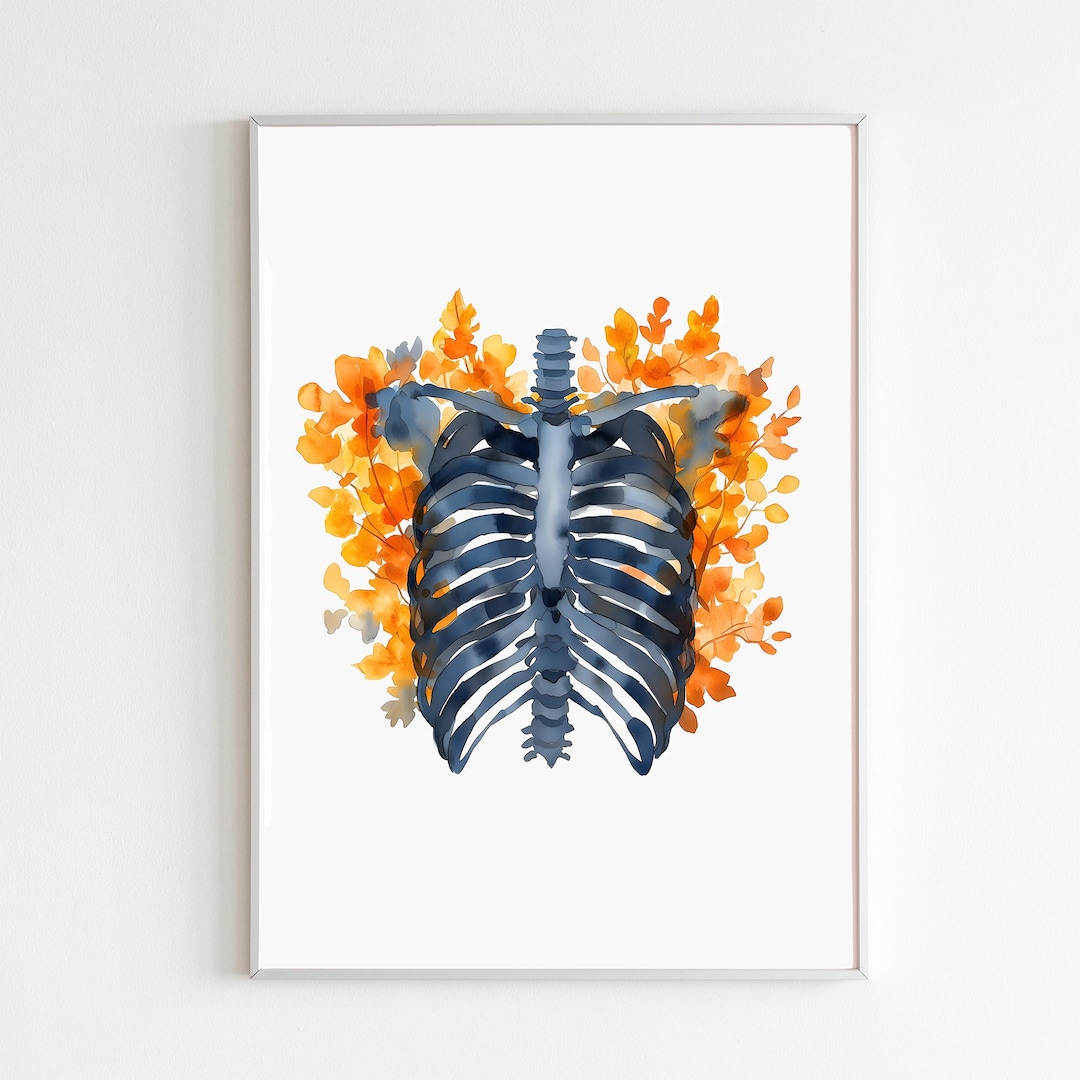 Ribcage Watercolor Art Print, Human Anatomy Painting, Rib Cage Artwork ...
