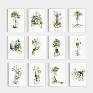 May include: A collection of twelve watercolor art prints. Each print features a human skeletal element, such as a rib cage or foot, with a tree or plant growing from it. The prints are in a rectangular format with a white background.