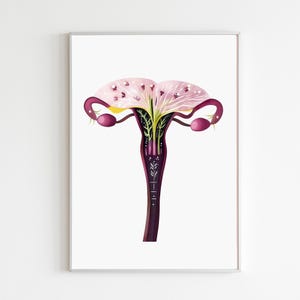 Bloemen baarmoeder eierstokken Art Print, vrouwelijk voortplantingssysteem anatomie muur artwork, decor gynaecologie kliniek, medische aquarel illustratie