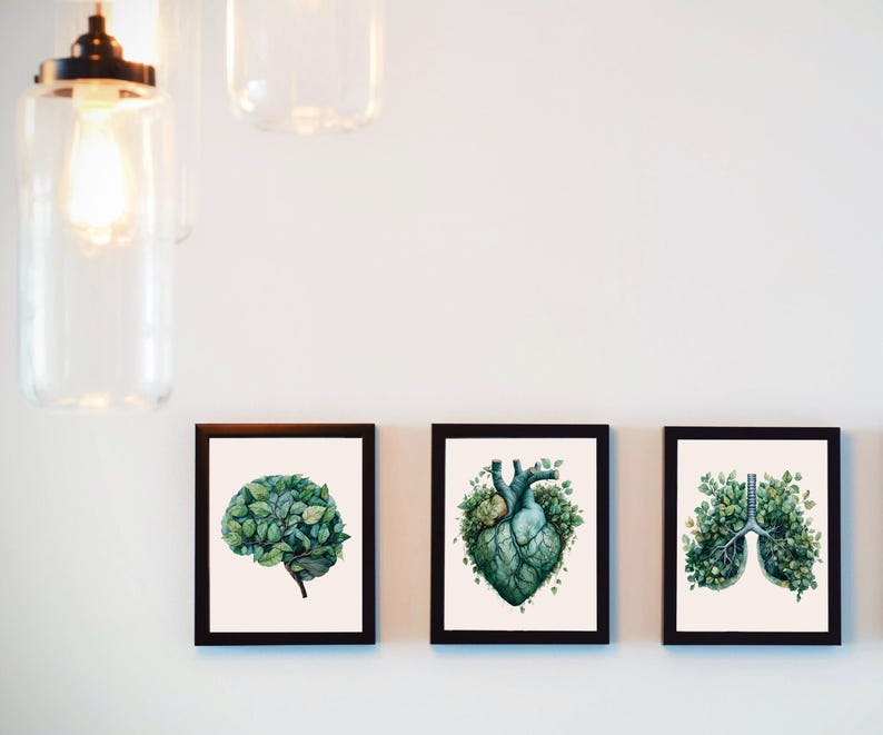 Heart Brain Lungs Watercolor Art Print Set of 3, Printable Human ...