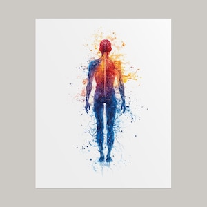 Nervous System Watercolor Poster, Colorful Human Body Anatomy Artwork, Spine Brain Wall Art, Neurology Office Print, Gift for Neurologist