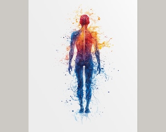 Nervous System Watercolor Poster, Colorful Human Body Anatomy Artwork, Spine Brain Wall Art, Neurology Office Print, Gift for Neurologist
