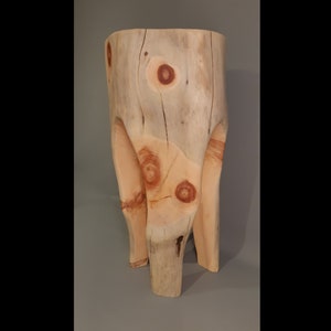 Puede incluir: Un taburete de madera con una forma orgánica única. El taburete está hecho de una sola pieza de madera y tiene un acabado natural y rústico. La madera tiene un color marrón claro con nudos marrón rojizos.