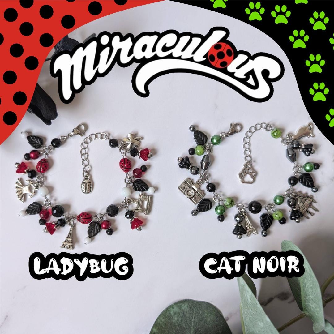 Cat Noir Miraculous Ladybug Jibbitz Miraculous Ladybug Party