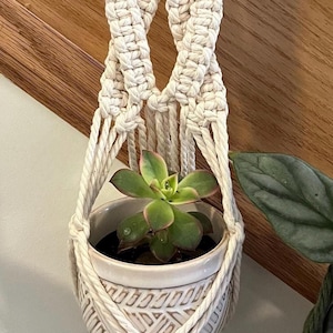 May include: A white macrame plant hanger with a wooden ring at the top. A small white pot with a green succulent plant is hanging in the macrame.