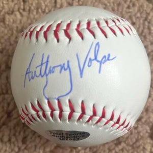 Anthony Volpe signed Yankees ball with COA