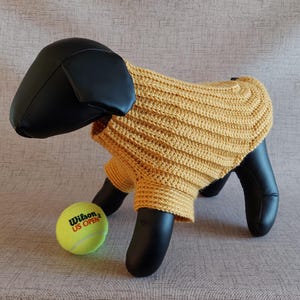 Basic unisex sweater crochet pattern for small pet: male and female cat, puppy, dog.