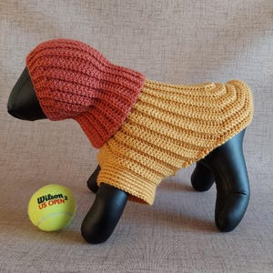 Basic unisex sweater crochet pattern for small pet: male and female cat, puppy, dog.