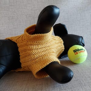 Basic unisex sweater crochet pattern for small pet: male and female cat, puppy, dog.