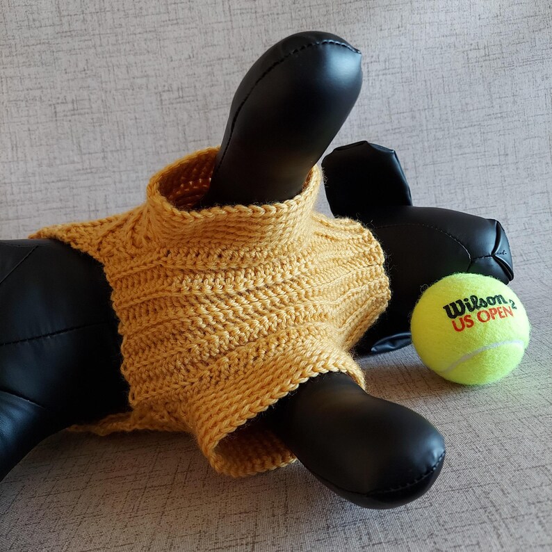Basic unisex sweater crochet pattern for small pet: male and female cat, puppy, dog.