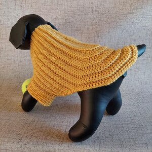 Basic unisex sweater crochet pattern for small pet: male and female cat, puppy, dog.