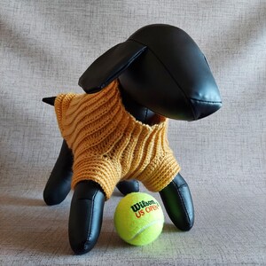 Basic unisex sweater crochet pattern for small pet: male and female cat, puppy, dog.