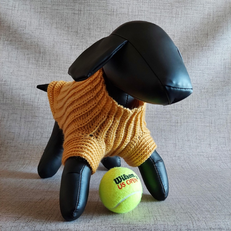 Basic unisex sweater crochet pattern for small pet: male and female cat, puppy, dog.