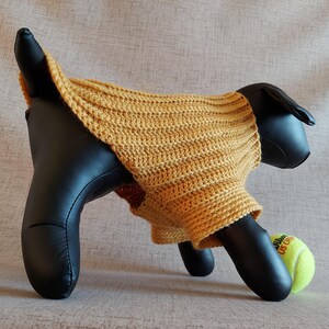 Basic unisex sweater crochet pattern for small pet: male and female cat, puppy, dog.