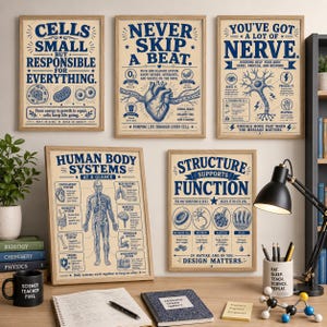 Puede incluir: Cinco pósteres educativos enmarcados con fondos crema e ilustraciones en tinta azul sobre biología humana. Las láminas presentan diagramas anatómicos, texto científico y dibujos de células, el corazón, neuronas y sistemas corporales.