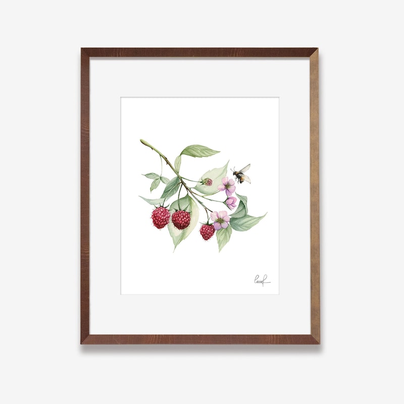 Raspberry Decor - Etsy