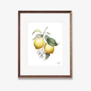 Lemons Branch and Blossoms Watercolor Art Print | Fruit Decor | Lemons Watercolor Art | Kitchen Decor | Fruit Wall Art | Lemons Wall Art