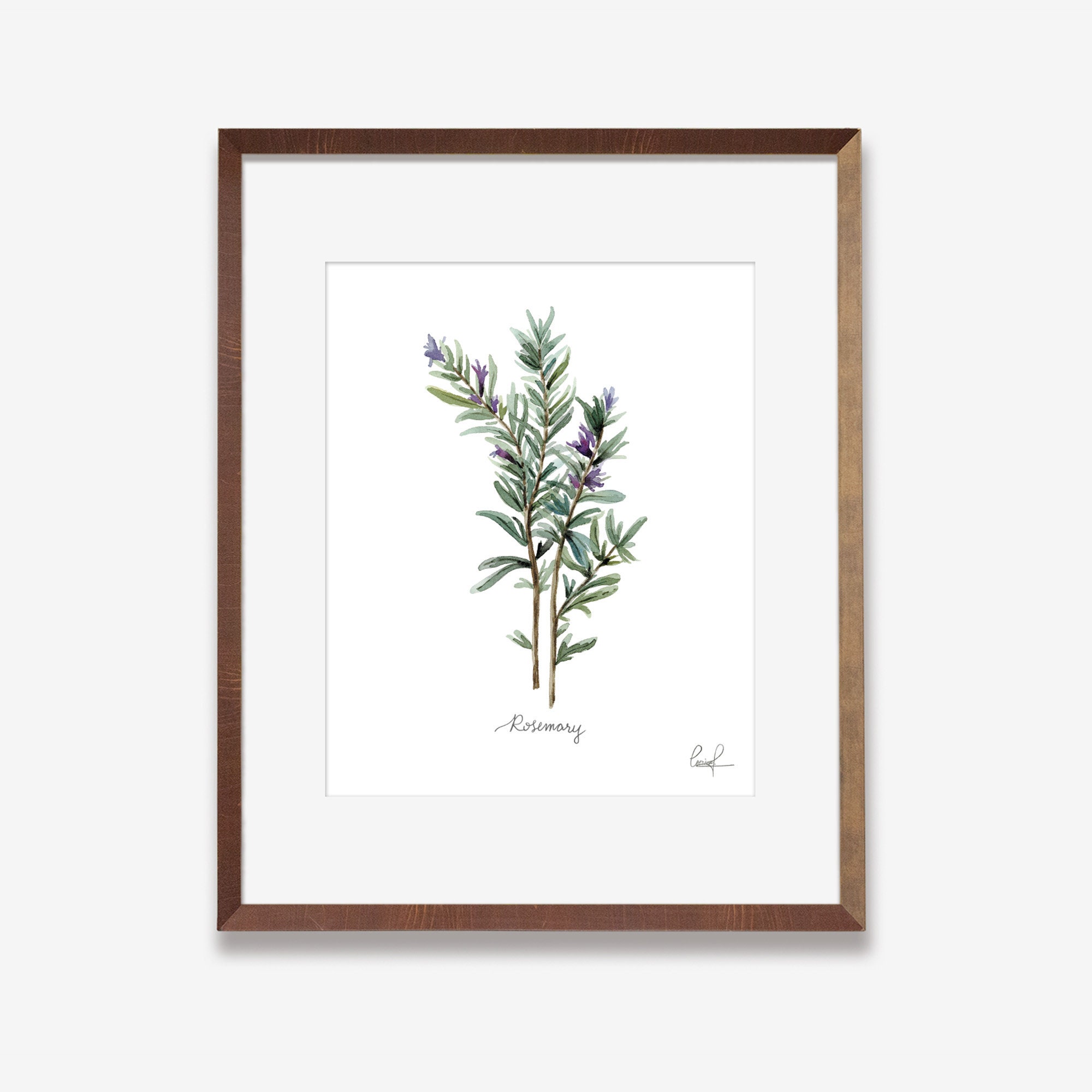 Herbs Set of 4 Watercolor Art Prints | Rosemary Thyme Sage Cilantro ...