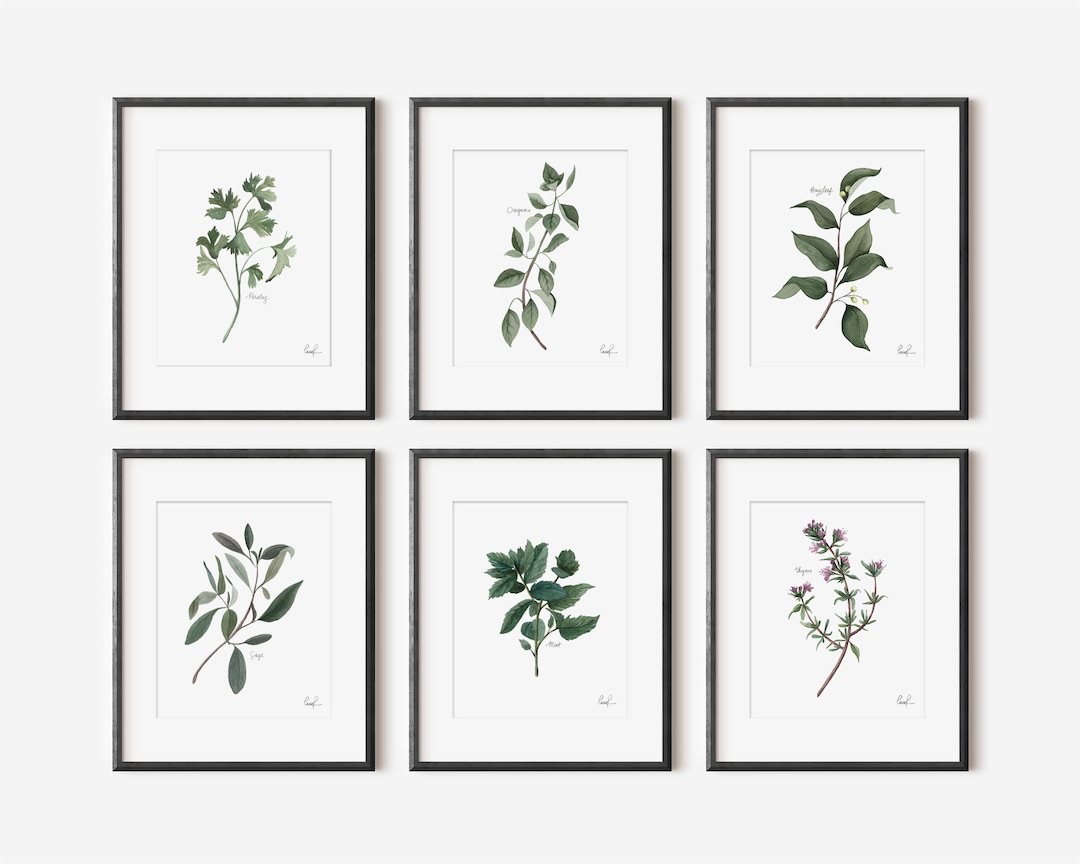 Set of 6 Herbs Watercolor Painting Prints | Kitchen Gallery Wall Art ...