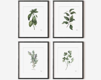 Herbs Set of 4 Watercolor Art Prints | Basil, Bay Leaf, Rosemary, Parsley | Herbs Watercolor Art | Kitchen Decor | Botanical Art