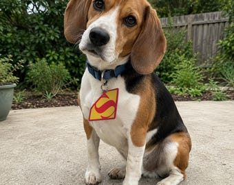 Printable Superhero Pet Costume Tag | Editable Canva Template for Dogs & Cats | Digital Download