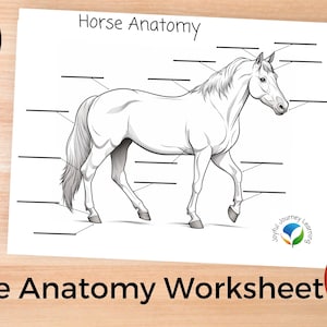 May include: A black and white line drawing of a horse with blank lines for labeling different parts of the horse's anatomy. The text "Horse Anatomy Worksheet" is at the bottom of the page.