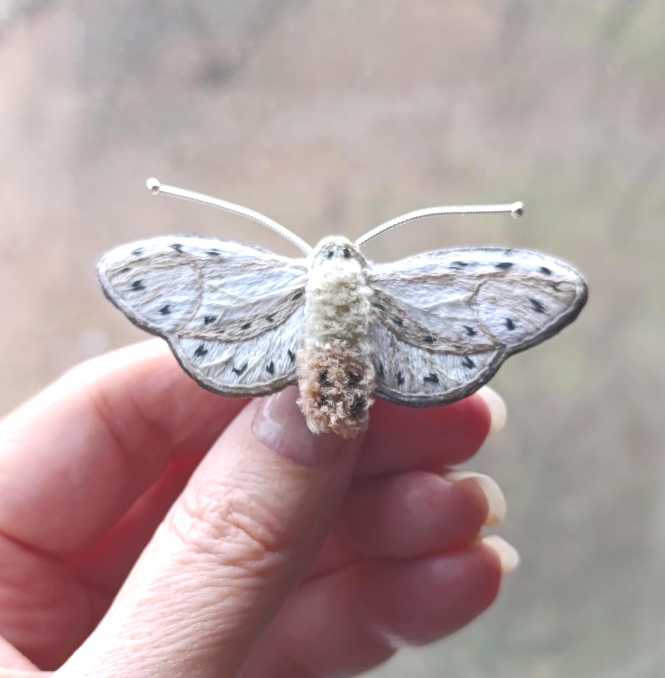 Moth Brooch - Etsy Moth Brooch - Etsy