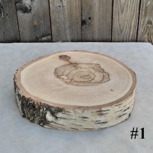 Birch Tree Slice 11.5&quot;-13&quot;, Wood cake stand, wood centerpiece, dried, sanded smooth