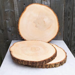 May include: A collection of three natural wood slices with a light-colored, smooth surface and a rough, bark-covered edge. The wood rounds vary in size, with one large slice in the background and two smaller ones in the foreground. The wood slices are ideal for rustic decor.