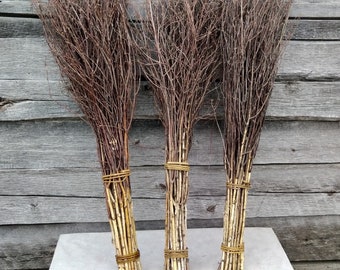 Long Natural Birch Twigs Bundle, Rustic Home Decor
