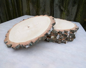 Birch Tree Slice, 11 inches, Plate Charger, Dried and Sanded smooth, Wood for centerpieces