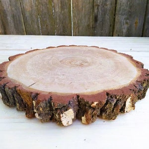 May include: A natural wood slice with a rough bark edge, perfect for crafting or decorating.