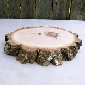Birch Tree Slice 10&quot;-11&quot;, Wood cake stand, wood centerpiece, dried, sanded smooth