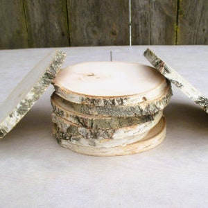 Birch Tree Slice , 7-8 inch wood slice, Wood Slice, Dried and Sanded, Wood for Centerpiece