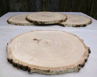 Dried Birch Tree Slice, Sanded Smooth Wood Charger (10-11 inches)