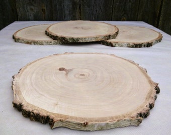 Birch Tree Slice, 10-11 inches, Dried and Sanded smooth, Birch Wood, Wood charger