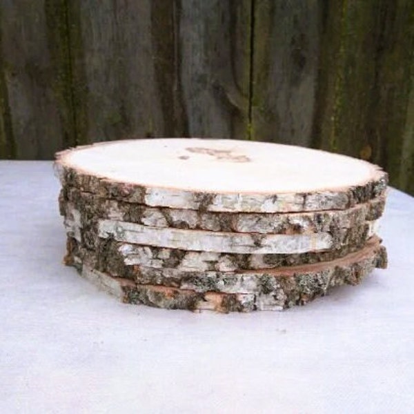 Birch Tree Slice, 10-11 inch Birch Slice, Wood Slice, 10"-11" wood slice