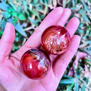 May include: Two polished, red-orange agate spheres with intricate brown and white banding patterns. The spheres are held in a hand, showcasing their smooth, reflective surfaces. The background is blurred green foliage.