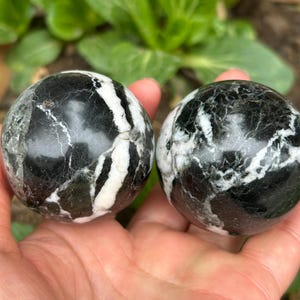 May include: Two black and white marble spheres with distinctive veining patterns are held in a hand. The spheres have a polished finish and are set against a blurred green background.