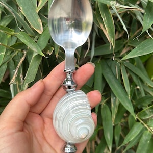 Natural Seashell Handle Stainless Steel Spoon, Nautical Table Decor Utensil