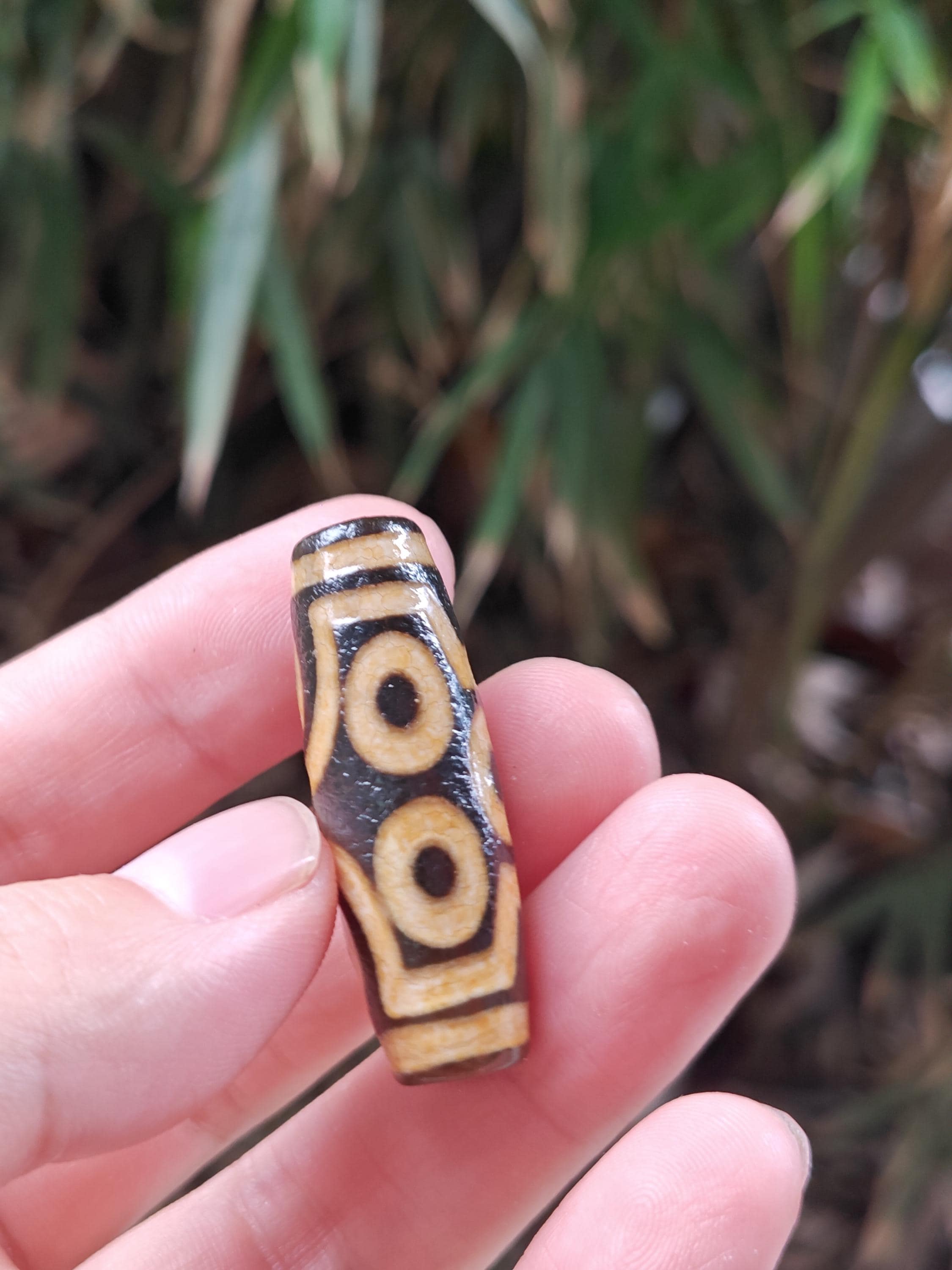7 Eyes Dzi Beads From Tibet Tianzhu Bangle Jewelry Vintage Bodhi