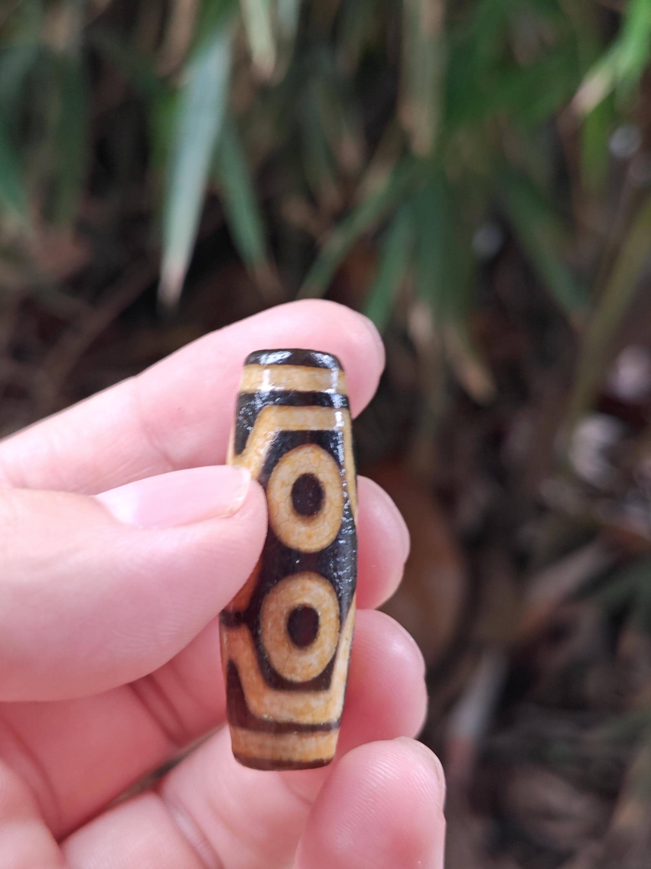 7 Eyes Dzi Beads From Tibet Tianzhu Bangle Jewelry Vintage Bodhi